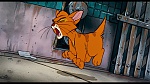 Image Oliver & Company