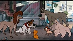Oliver & Company picture