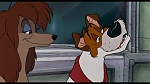 Image Oliver & Company