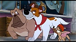 Image Oliver & Company
