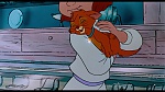 Image Oliver & Company