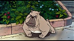 Oliver & Company picture