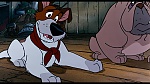 Image Oliver & Company