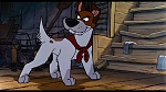 Image Oliver & Company