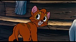 Oliver & Company picture