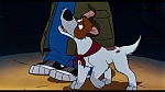 Image Oliver & Company
