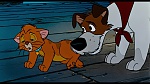 Image Oliver & Company