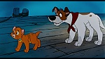 Image Oliver & Company