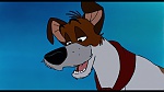 Image Oliver & Company