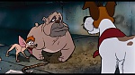 Image Oliver & Company