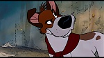 Image Oliver & Company