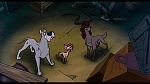 Image Oliver & Company