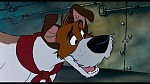 Image Oliver & Company