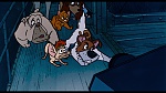 Image Oliver & Company