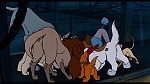 Image Oliver & Company