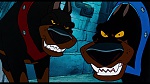 Image Oliver & Company