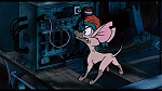 Image Oliver & Company