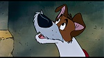 Oliver & Company picture