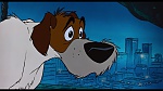 Image Oliver & Company