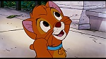 Image Oliver & Company
