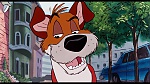 Oliver & Company picture