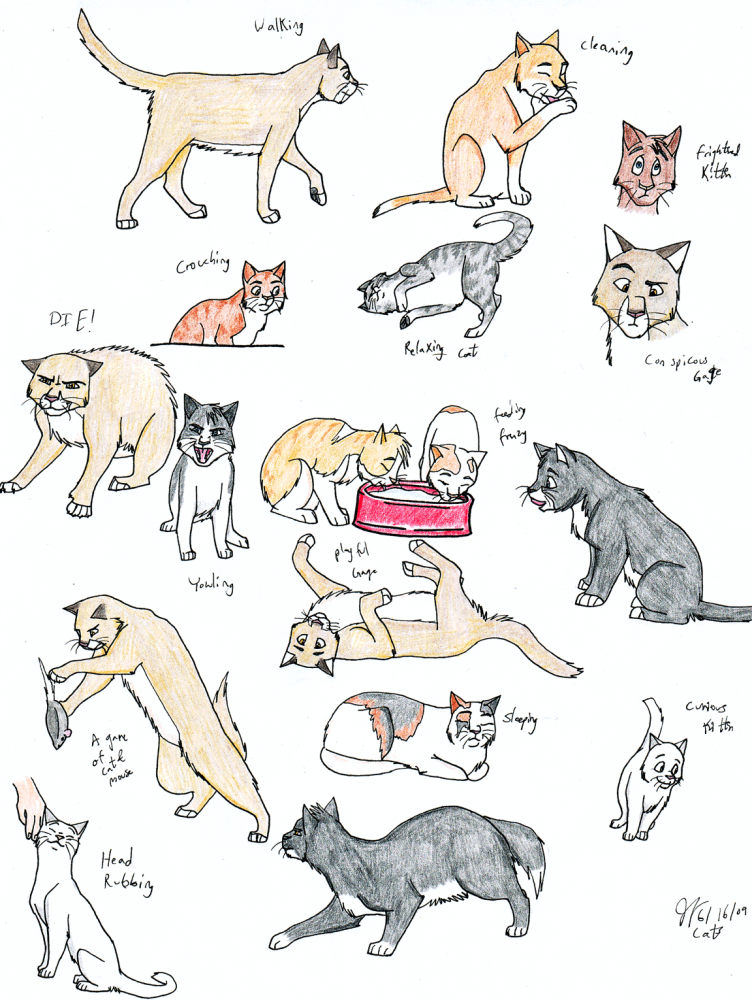 Kitties