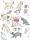 Kitties