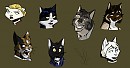 Anthro Cats