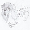 First ones 8D