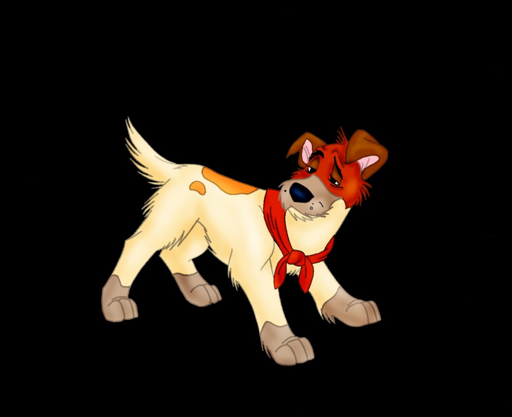 Dodger