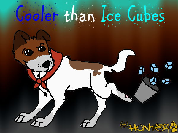 Cooler Than Ice Cubes