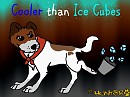 Cooler Than Ice Cubes
