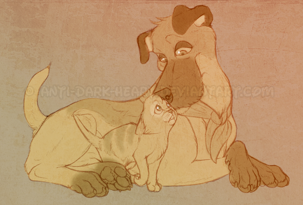 Comfort