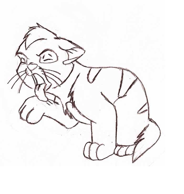 Oliver Grooming Animation