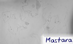 Mastara