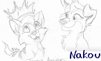Nakou