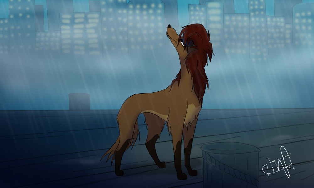 In the Rain