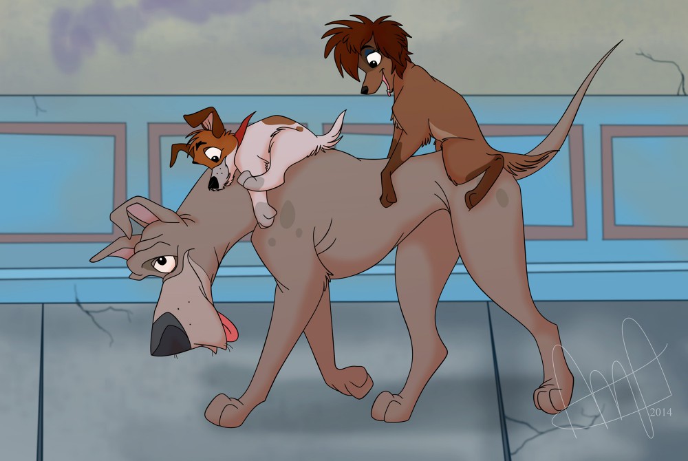 Piggyback
