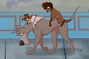 Piggyback
