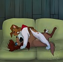 Cuddle