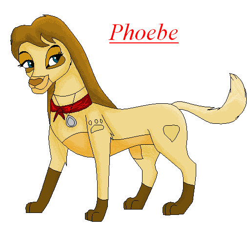 Phoebe