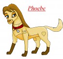 Phoebe