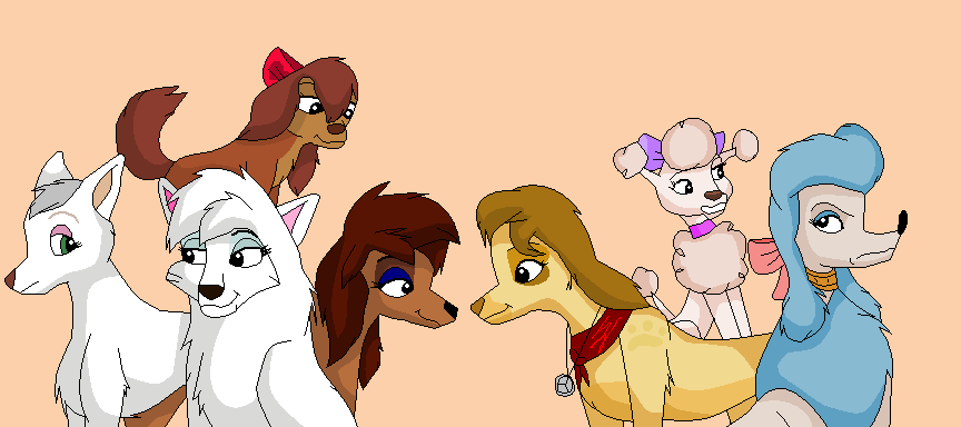 Girl dogs