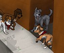 Prize - Moki Hunter