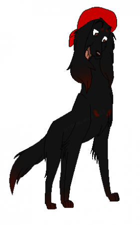 Detail Romeo