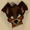 Bandit