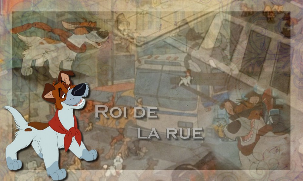  Roi de la rue B1