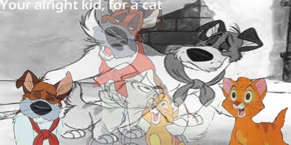 your alright kid