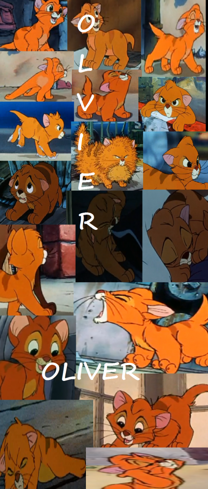 Oliver Collage (With Text)
