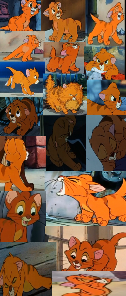 Oliver Collage
